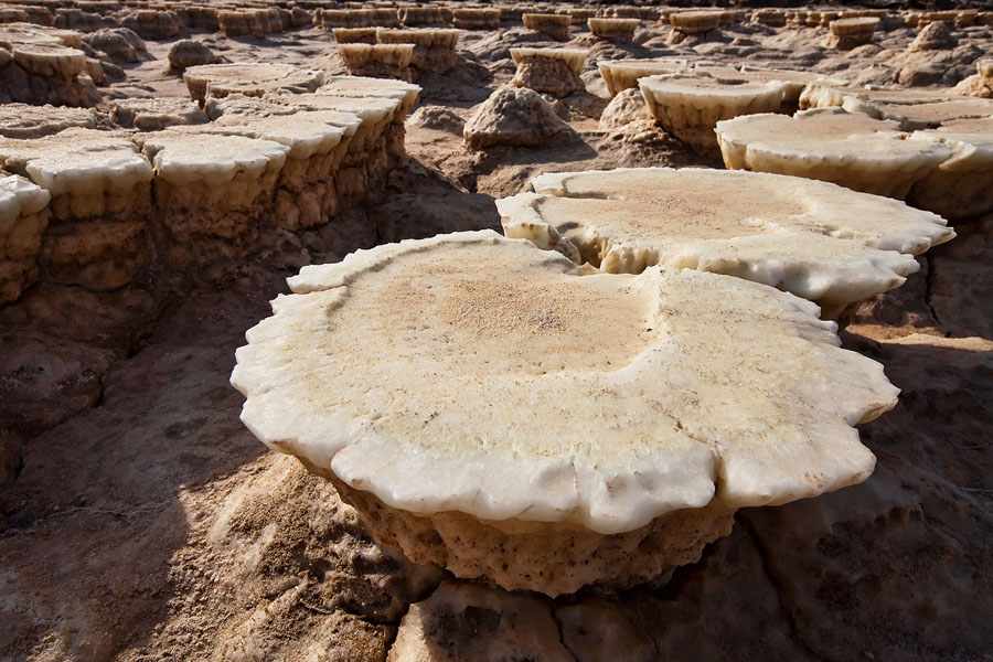  Salt sculptures at the Dallol Depression, also called Danakil Depression